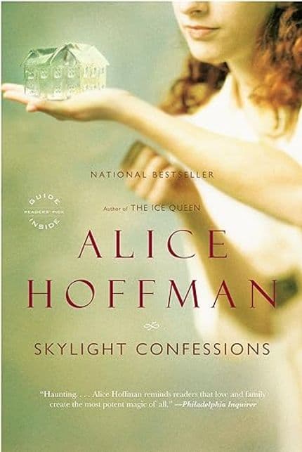 skylight-confessions-book-cover