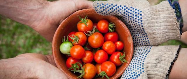 22 Gardening Books to Grow Your Green Thumb