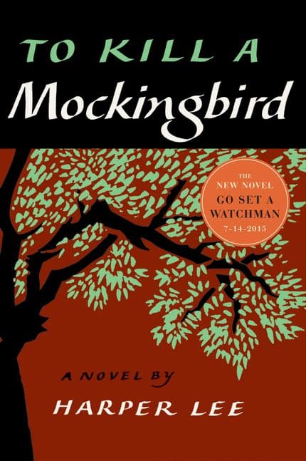 To Kill a Mockingbird, a great american novel