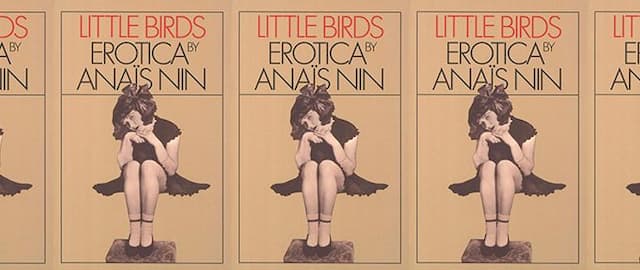 10 Erotic Literary Fiction Books That Prove Their Value