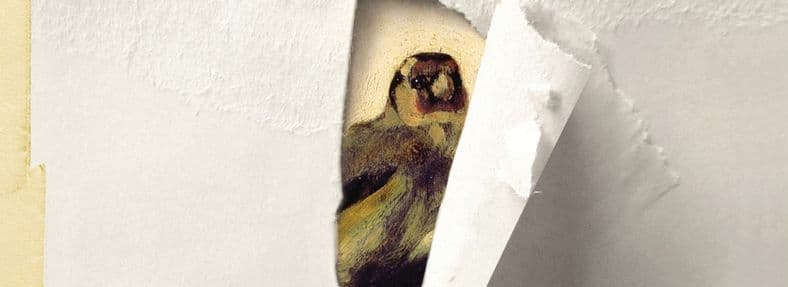 the_goldfinch