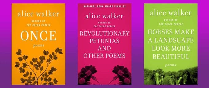 three books of alice walker poems
