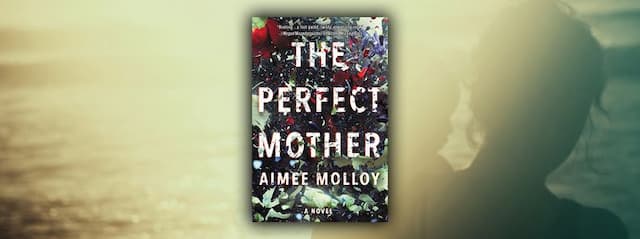 The Perfect Mother Author Aimee Molloy on Blending Genres, Motherhood and Kerry Washington
