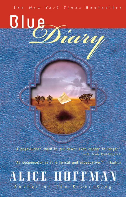 blue-diary-book-cover