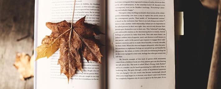 Open book with a fall leaf on it