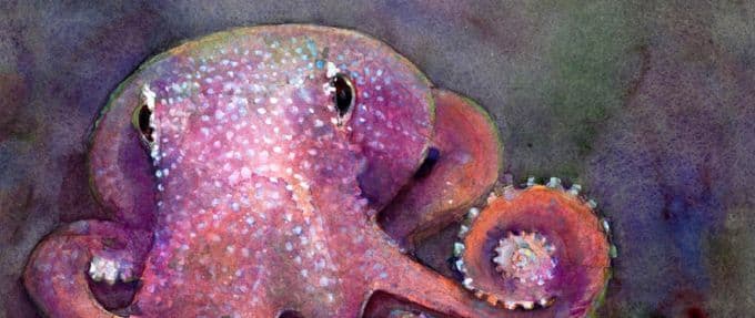 8 Octopus Books You’ll Want to Get Your Tentacles On