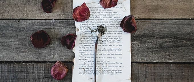 dead rose on handwritten love letter